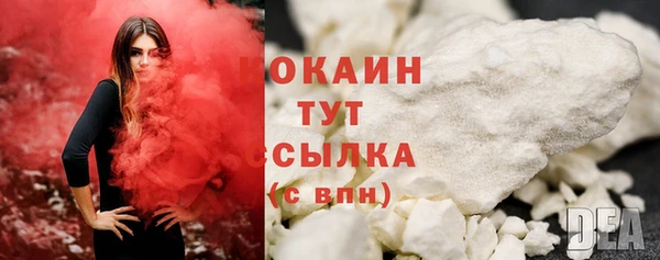 индика Армянск