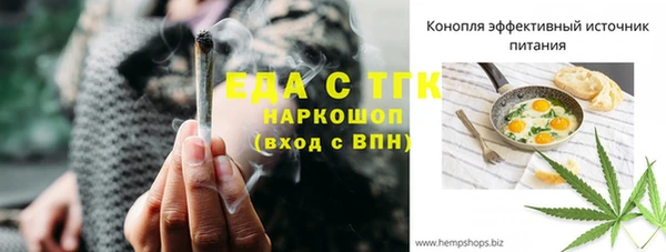 индика Армянск
