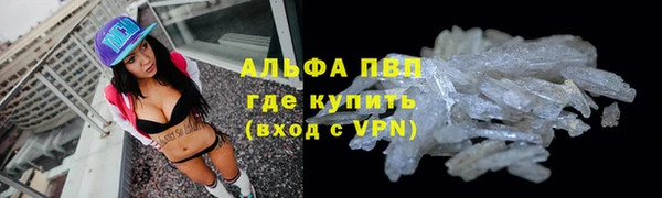 индика Армянск
