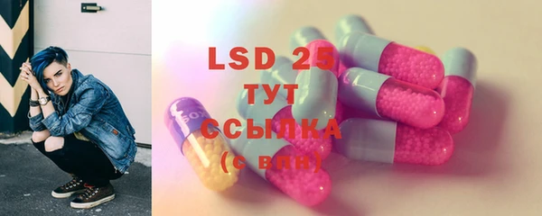 индика Армянск