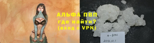 индика Армянск
