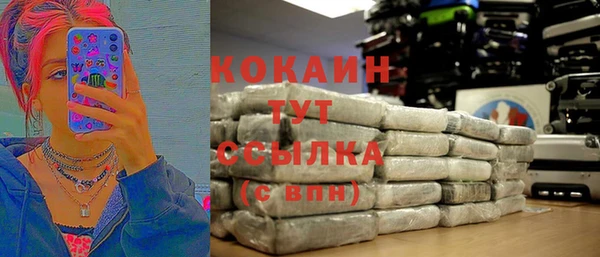 индика Армянск