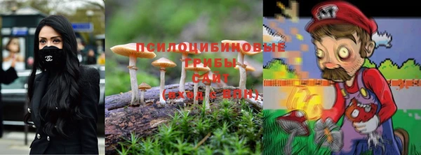 мет Арсеньев