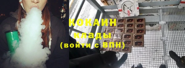 индика Армянск