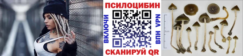 Галлюциногенные грибы GOLDEN TEACHER  закладка  Опочка 